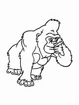 Gorilla Ape coloring Page sketch template