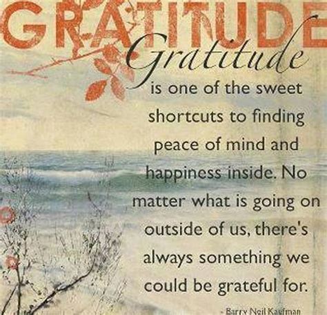 Happiness And Gratitude Quotes. QuotesGram