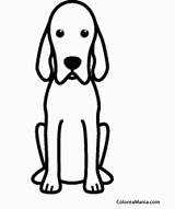 Click Redbone Coonhound Coloring Page For Printable Sketch sketch template