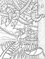 Coloring Pages Rainforest Natural World > Forest  Free Printable sketch template