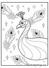 Peacock Feather Colouring Pages sketch template