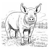Realistic Farm Animal Coloring Pages  Free & Printable sketch template