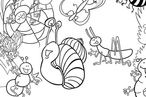 25+ beautiful stock Bugs And Insects Coloring Pages - Insect Coloring ...