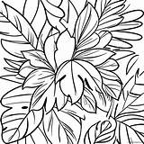 Tropical Palm Leaves Coloring Page 72755 57596 sketch template