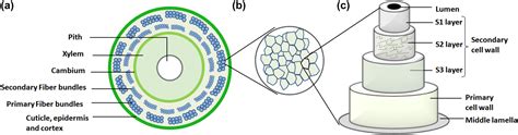 Advancement in hemp fibre polymer composites: a comprehensive review