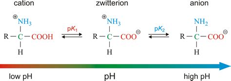 Zwitterion @ Chemistry Dictionary & Glossary