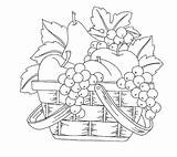 A Fruit Basket coloring Page  Download Print Or Color Online For Free sketch template