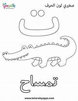 Free Arabic Letter taa coloring page  Alphabet Learn arabic sketch template