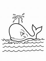Free Printable Whale Coloring Pages For Kids sketch template
