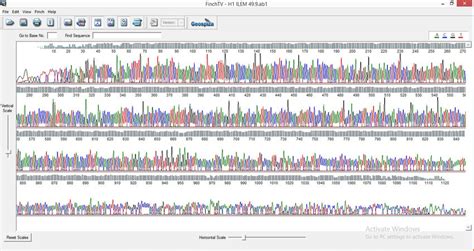 Cause of failed DNA sequencing using reverse primer?