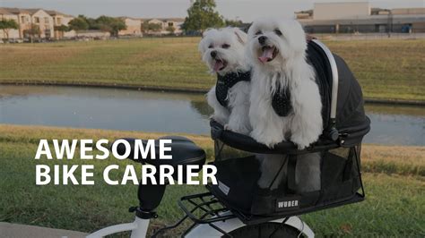 Bicycle Dog Carrier 👉 Rear Rack Bicycle Dog Carrier hybrid DIY - YouTube