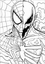Venom Coloring Pages Spiderman Fight Against Free Printable  sketch template