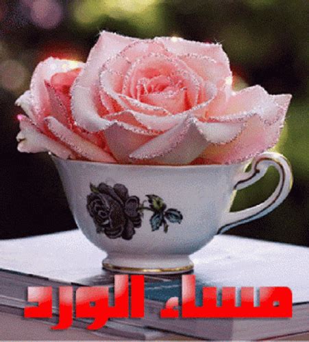 Tea Cup Flower GIF - Tea Cup Flower Sparkling - Discover & Share GIFs