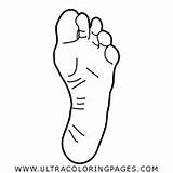 Toes Coloring Pages  Ultra sketch template
