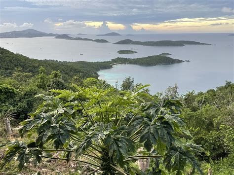 View from Windmill Bar, St. John, U.S. Virgin Islands | Flickr