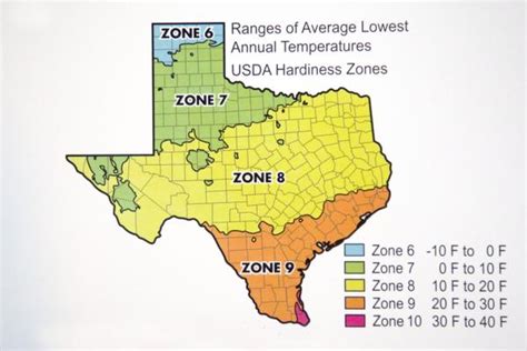 Texas Growing Zone Map Printable Maps - Bank2home.com