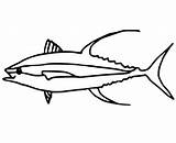 Cartoon Tuna Coloring Page  Free Printable Pages For Kids sketch template