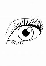 Human Eye Coloring Page  Free Printable Pages For Kids sketch template