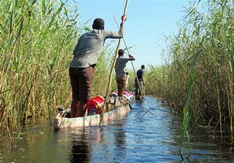 How to Book an Okavango Delta Mokoro Trip Deep In the Heart of Botswana - Quirky Travel Guy