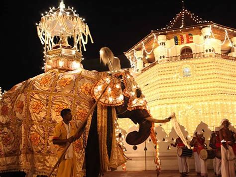 The Kandy Esala Perahera is one of the oldest and grandest of all Buddhist festivals in Sri ...
