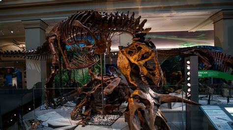 The Smithsonian’s new dinosaur hall is a marvel. But its ties to David ...