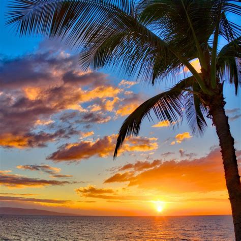 8 Perfect Places On Maui To Watch The Sunset | TravelAwaits