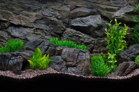 Aquarium background rock for every aquarium and terrarium - CeramicNature