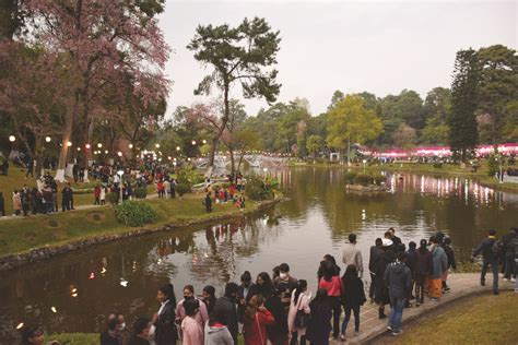 Ronan Keating to headline Cherry Blossom Festival - The Shillong Times