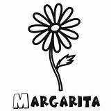 Margarita Coloring Page sketch template