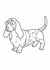 Basset Hound Coloring Pages  ColoringDraftcom sketch template
