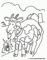 Billy Goat Coloring Page  Home sketch template