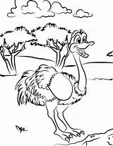 Running Ostrich Coloring Page  Free Printable Pages For Kids sketch template