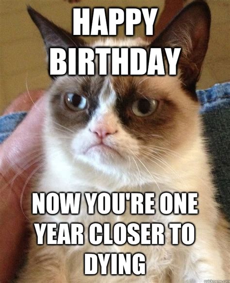 Happy Birthday Cat Meme - Cat Planet | Cat Planet