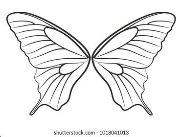 Butterfly Wing Art