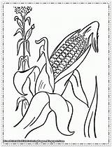 Free Corn Coloring Pages Printable Download  sketch template