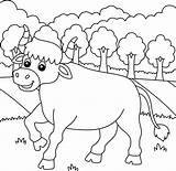 Ox Coloring Page For Kids 5073786 Vector Art At Vecteezy sketch template