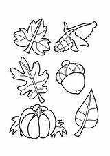 Free & Printable Leaves Acorns Coloring Picture Assignment Sheets  sketch template