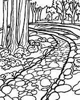Forest Coloring Page · Creative Fabrica sketch template