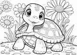 Dinokids Desenhos Para Colorir De Tartarugas sketch template