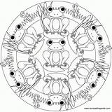 Don&ampt Eat The Paste Frog Mandala To Color  Coloring Nation sketch template
