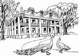 Plantation House Clipart Line Drawing Coloring Plantations Southern  sketch template