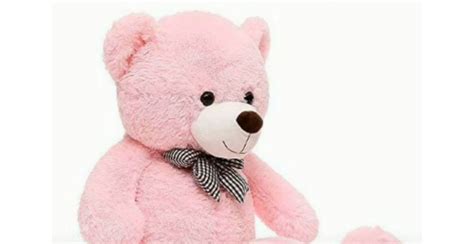 800+ Teddy Bear Names Cute & Sweet Bears Name Ideas