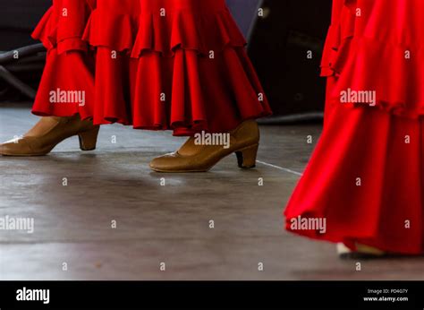 closeup of a typical shoes to the traditional Spanish flamenco dance ...