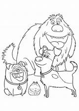 The Secret Life Of Pets Coloring Pages Print Them For Free sketch template