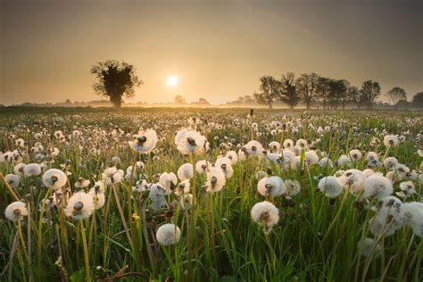 Beautiful Famous Natural Photography Photos and Pixels - Live Enhanced