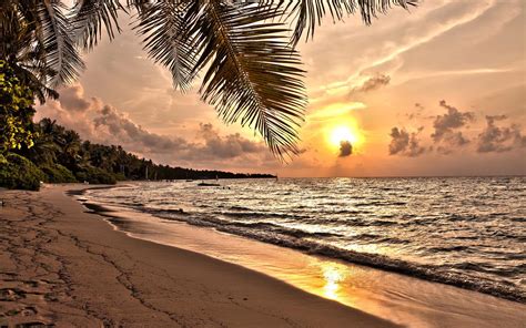 🔥 [60+] Tropical Beach Sunset Wallpapers | WallpaperSafari