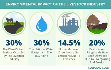 Sustainable Eating — TeenLink Hawaii