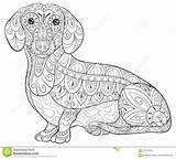 Printable Dachshund Coloring Pages sketch template