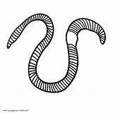 Worm Coloring Pages sketch template