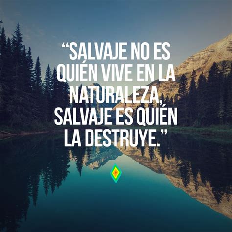 Salvaje no es quién vive en la naturaleza, salvaje es quién la destruye | Frases ambientales ...